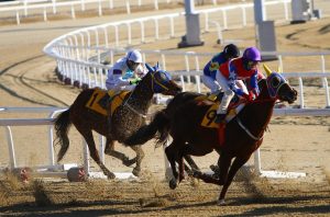 Best Horse Racing Apps Accept Upi India 2026: How to Use Safely on Indian Betting Sites (2026)